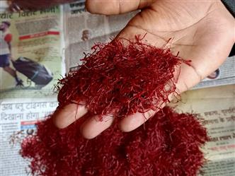 Kashmir Saffron-Red-Pack Of 1-5mg Saffron Dried Stigma